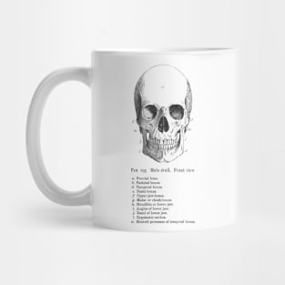 Labeled Skull Mug